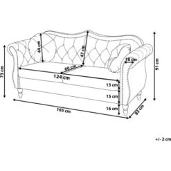 Glam Living Room 2 Seater Velvet Sofa Nailhead Trim Button Tufted Beige Skien -Living Room Furniture Store 20058552 3