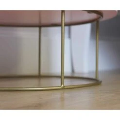 Pink Stool Storage Ottoman With Metal Stand Round Wooden & Iron With Internal Concealed Storage Modern Footstool Ottoman -Living Room Furniture Store 45647776 4