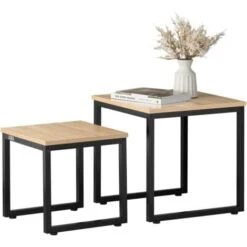 SoBuy Set Of 2 Nesting Tables Side Table End Table, FBT42-N